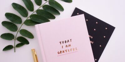 A journal that tells the story of gratitude with a pen and olive branch next to it.