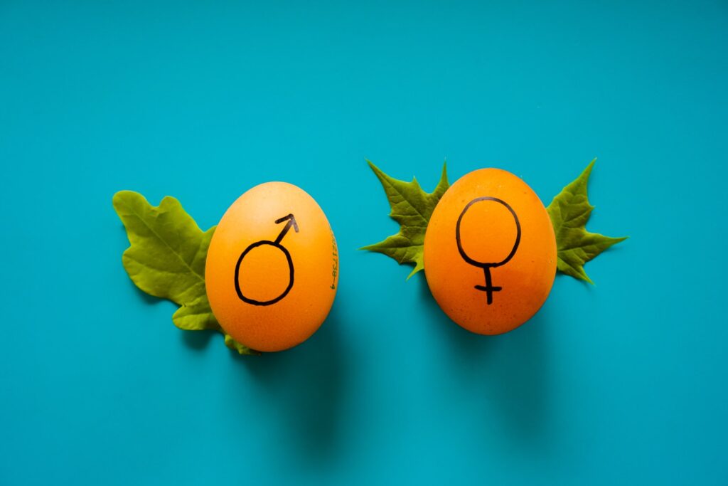 Two orange eggs: one with male symbol and the other with female symbol. No matter your gender you should receive equal medical care.