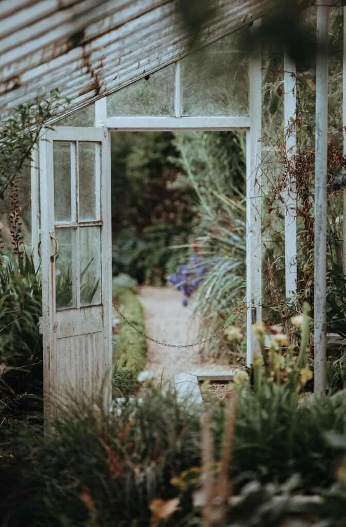 A photo of a open green house door from a lush inside looking out to a path leading into the distance