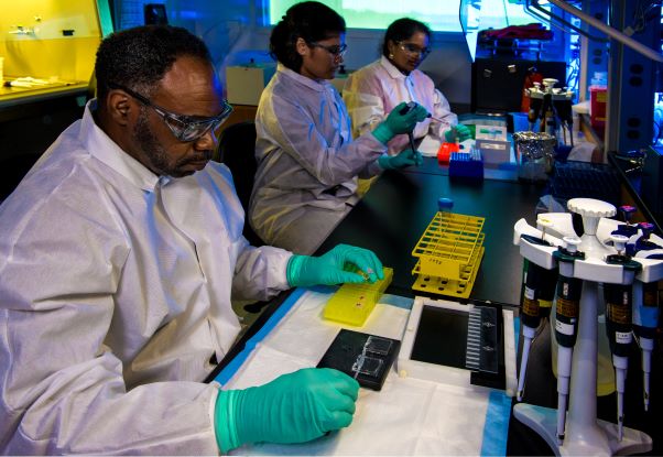 a row of researchers in a lab