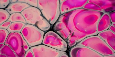 Beautiful Human Cells Highlighted in Shades of pInk outlined with black and gray.